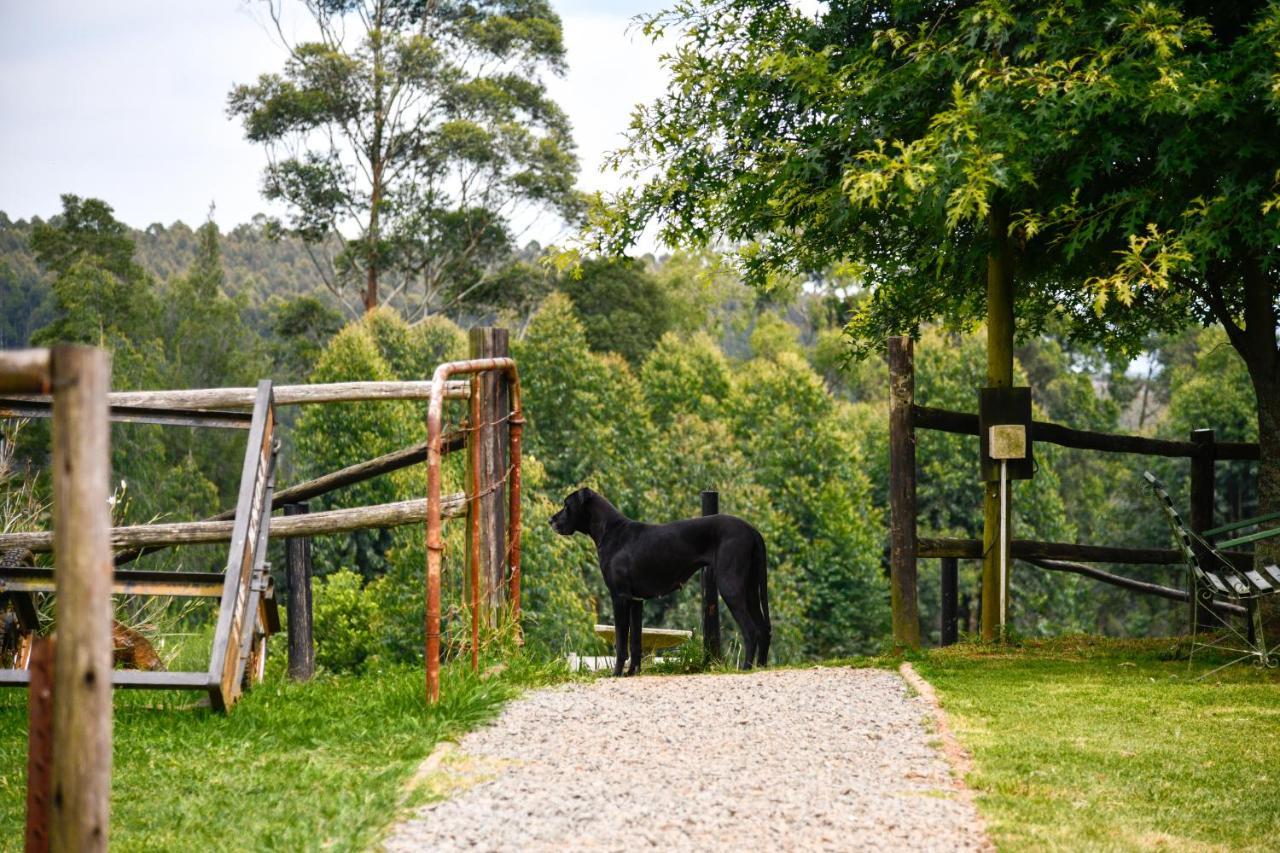 Вилла The Knoll Historic Guest Farm Хилтон Экстерьер фото
