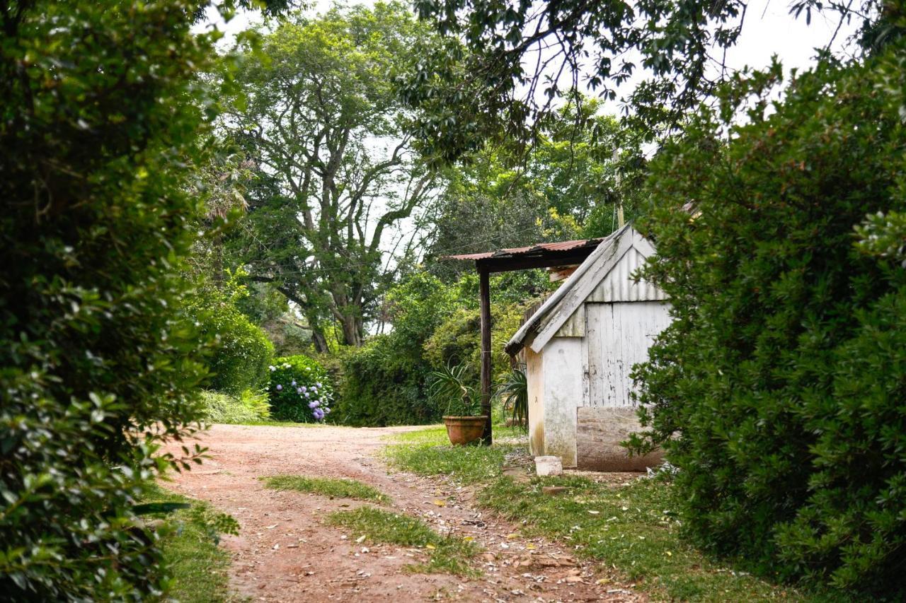 Вилла The Knoll Historic Guest Farm Хилтон Экстерьер фото