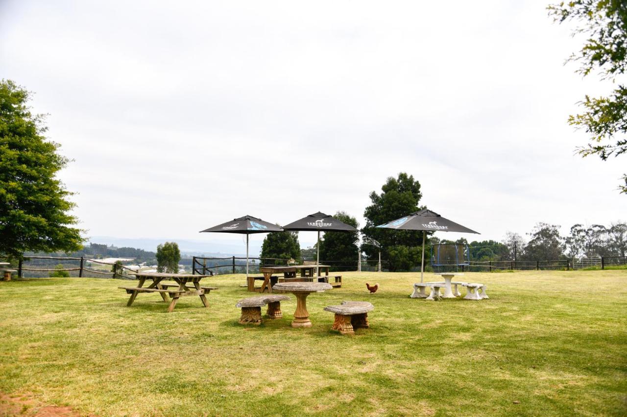 Вилла The Knoll Historic Guest Farm Хилтон Экстерьер фото